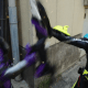 kamen-rider-zero-one-episode-11-review-dont-stop-the-camera-stop-that-guy