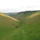 Inside the Downs, at Devil's Dyke, almost cutting through from the Weald to the coast