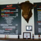 More menu selections