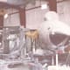 An F-105 at the Paul E. Garber Facility, Silver Hill, MD, circa 1990.