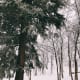 Picnic area is covered with snow.
