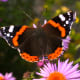experience-of-transformation
