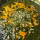 Bring it up to a simmer and add in the salt and fenugreek leaves.