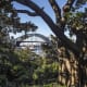 The Harbour Bridge from Wendy Whiteley's Secret Garden.
