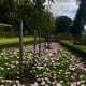 The beautiful rose gardens.