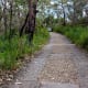 Walking up the easier path towards the lighthouse.
