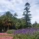 Beautiful blooms in the gardens.