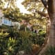 Looking up towards Wendy Whiteley's house in her magical garden.