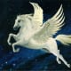 my-noble-steed