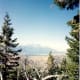 Some of the scenery we enjoyed on the nature trail at the top of Snow King Mountain.