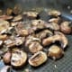 Saute the mushrooms until cooked
