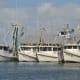 Shrimp boats tied up at the People's Street T-head in downtown Corpus Christi, TX