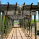 Notice the shadows? It looks like a Cattleguard Crossing!