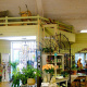 Interior of the store