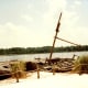 florida-vacation-walt-disney-world-discovery-island
