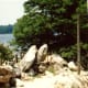 florida-vacation-walt-disney-world-discovery-island