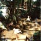 florida-vacation-walt-disney-world-discovery-island
