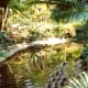 florida-vacation-walt-disney-world-discovery-island
