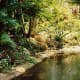 florida-vacation-walt-disney-world-discovery-island