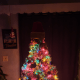 This is what my tree looked like all set up.