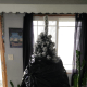Wrap two industrial-sized trash bags around the tree.