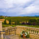 View of vineyards from the California wine producer Domaine Carneros