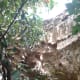 the-forestiere-underground-gardens-of-fresno