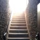 the-forestiere-underground-gardens-of-fresno
