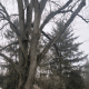 A grey, dreary day captured with the regular camera settings.