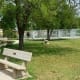 Backyard of Citizens for Animal Protection