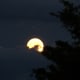 Rising Moon