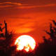 Setting Sun