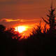 Setting Sun