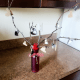 Add a piece of colored ribbon in the opening of your vase or container to jazz it up if desired.