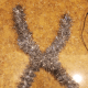 Wrap garland around each letter. I chose silver for the X.
