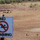 Drought in South Australia, 2008. Photo by Peripetus.