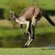 adventure-tours-australia