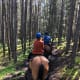 banff-canada-a-trip-you-wont-regret