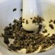 Crush the peppercorns.