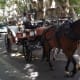 one-day-of-our-stay-on-the-island-of-mallorca--city-tour-of-palma