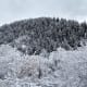 Winter Wonderland.