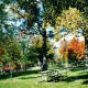 Picnic benches