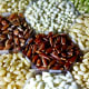 Different varieties of rice