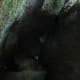 Caves to Hide the Demons