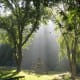 Searchlights from Above
