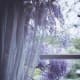 Filling your moments with colors and objects you love can bring a feeling of being centered, and calm your heart. Create a window view you love, or prepare a corner of your home just for "getting away".