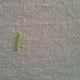 Figure 1: Make a running stitch