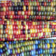 Glass gem corn on the cob