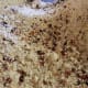 Painted Mountain corn flour
