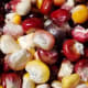 Closeup of Painted Mountain corn